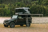Thule Tepui - 92783 the species Thule Tepui - 35458 the species