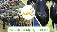 етерично маслени култури - 8683 комбинации етерично маслени култури - 31238 комбинации