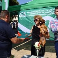 горско стопанство - 8894 награди