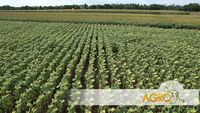 птицевъдство - 77190 снимки | AgroTV птицевъдство - 86210 снимки