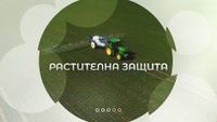 всичко за пчелите - 80698 постижения всичко за пчелите - 23419 постижения