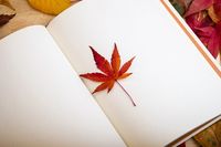 разделител за книга щипка - 77176 комбинации