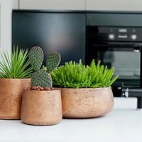 кашпи - 72327 клиенти