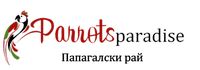 Аксесоари за папагали - 65614 промоции