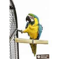 Играчки за папагали - 4426 клиенти Играчки за папагали - 92202 клиенти